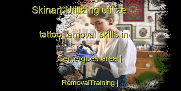 Skinart Utilizing utilize tattoo removal skills in Seniergues area | RemovalTraining | RemovalClasses | SkinartTraining-France